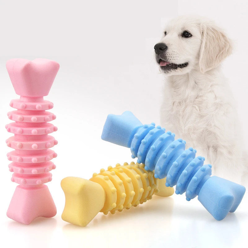 Chew Dog Toys | Squeaky Rubber Toys | Petgeds