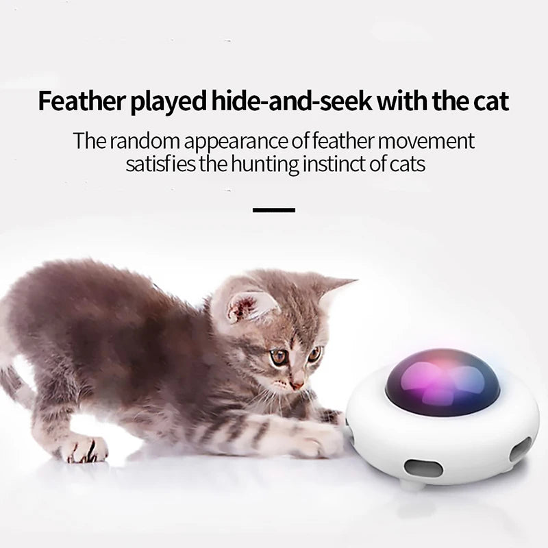 Cat Turntable Toy | Intelligent Cat Toy | Petgeds