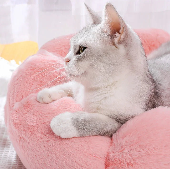 Comfortable Sleep Pet Bed