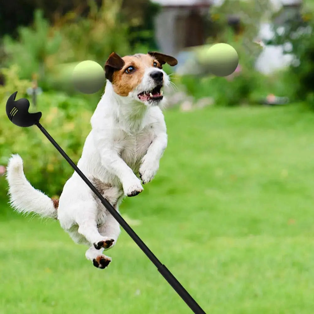 Throwing Pole toy