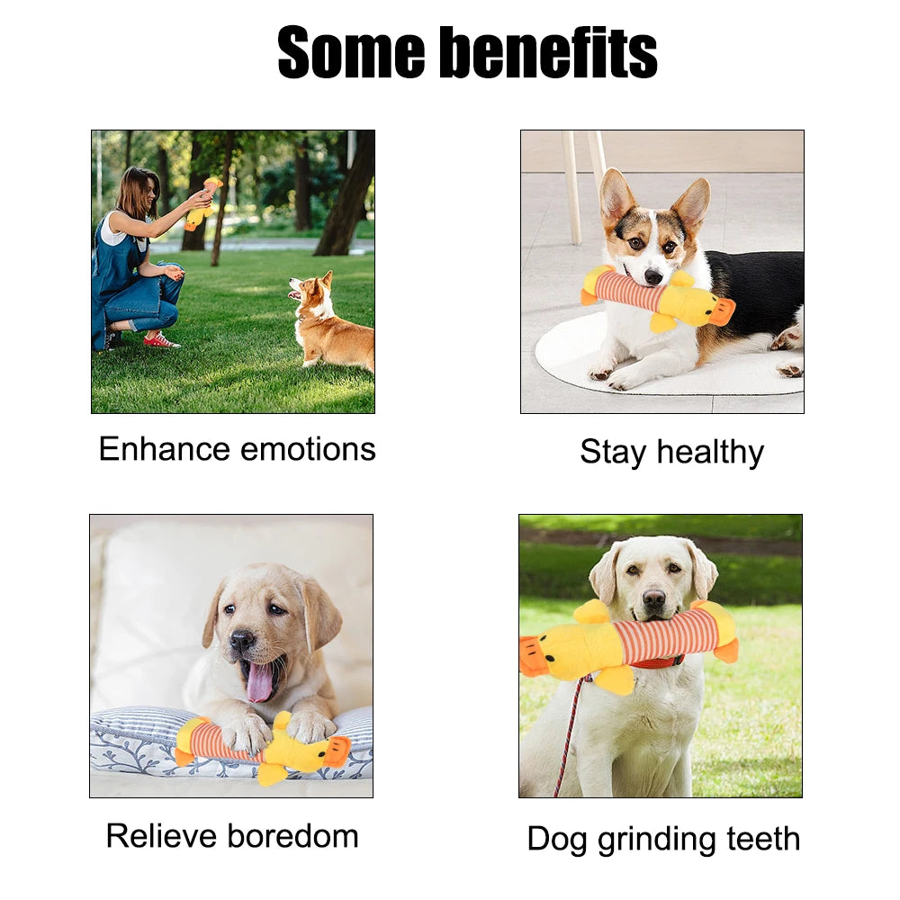 Dog Fleece Toys | Cat Fleece Toys | Petgeds