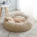 Cat Bed