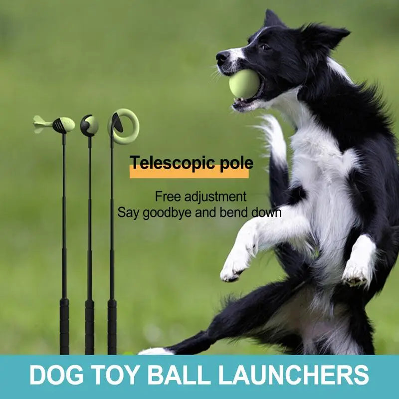 Throwing Ball Toy | Throwing Pole Toy | Petgeds