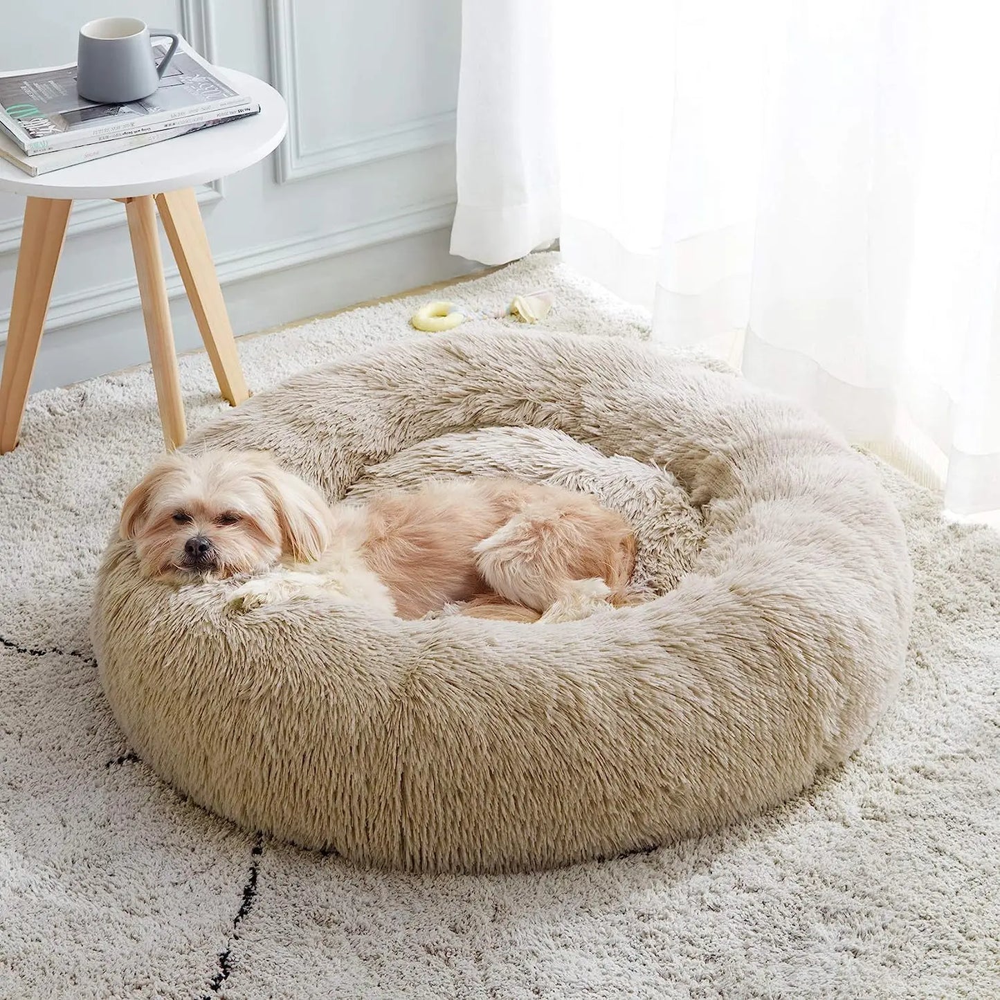 Cat Bed