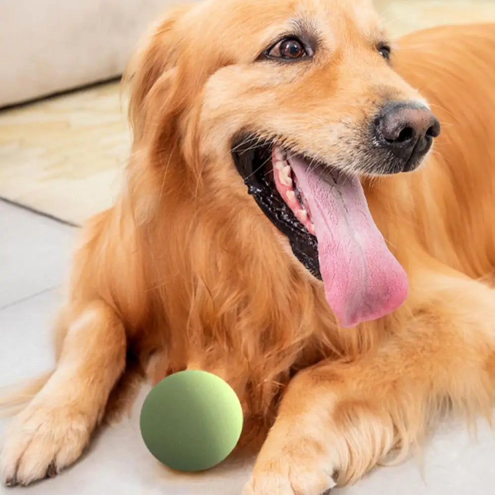 Throwing Ball Toy | Throwing Pole Toy | Petgeds