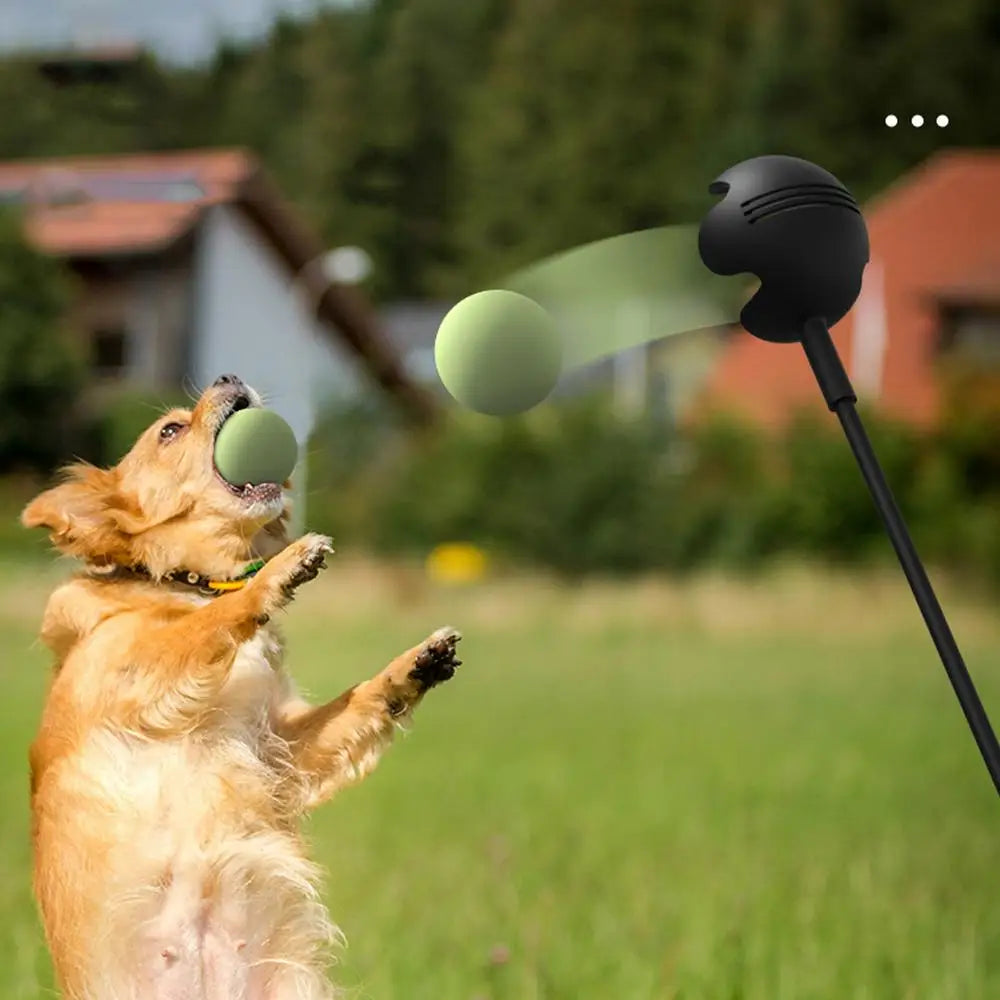 Throwing Ball Toy | Throwing Pole Toy | Petgeds