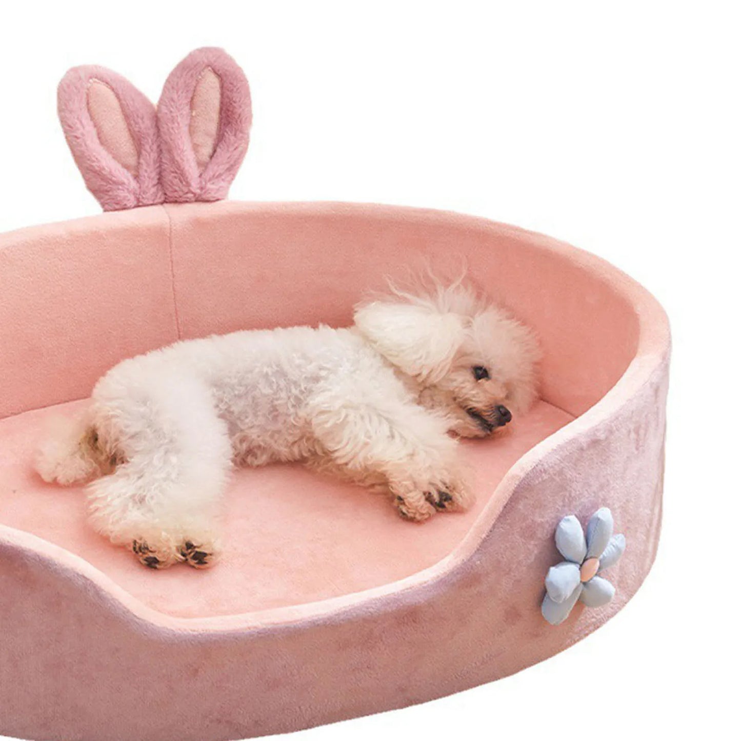 Washable pet bed