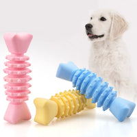 Chew Dog Toys | Squeaky Rubber Toys | Petgeds