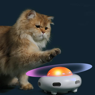 Cat Turntable Toy | Intelligent Cat Toy | Petgeds