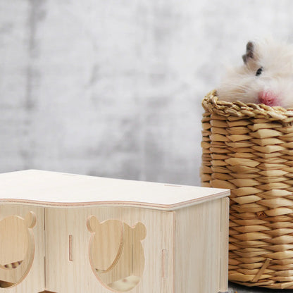Hamster Labyrinth
