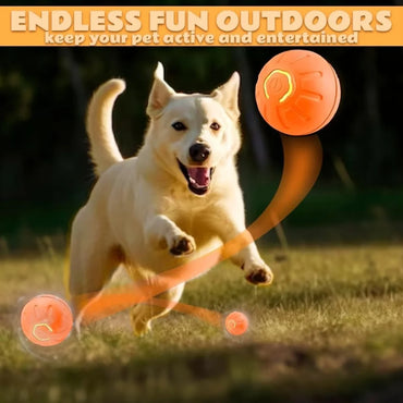 Amusement Pet Ball