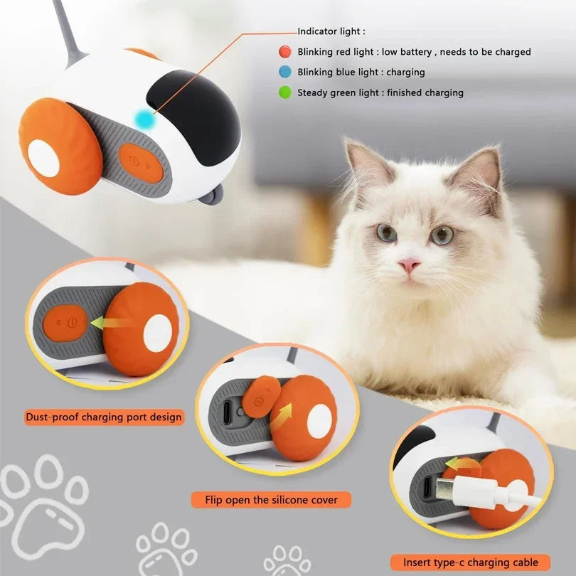 Interactive Cat Toy
