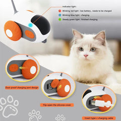 Interactive Cat Toy