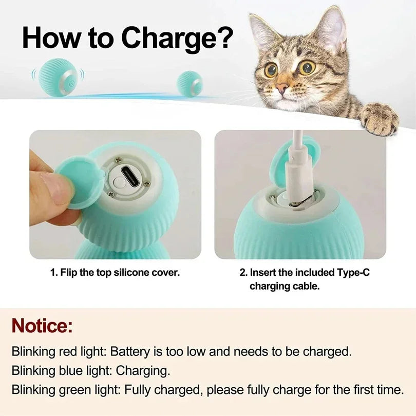 Interactive Cat Toy
