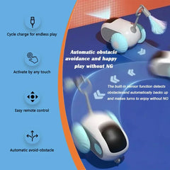 Interactive Cat Toy