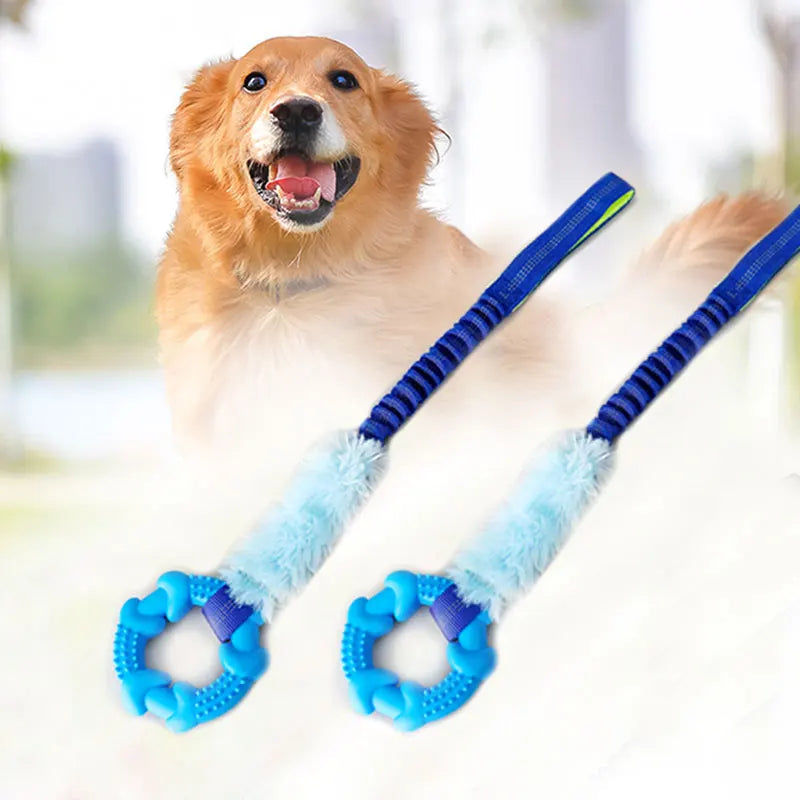 Bone Toy for Dogs | Bone Plush Toy | Petgeds