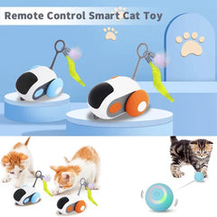 Interactive Cat Toy