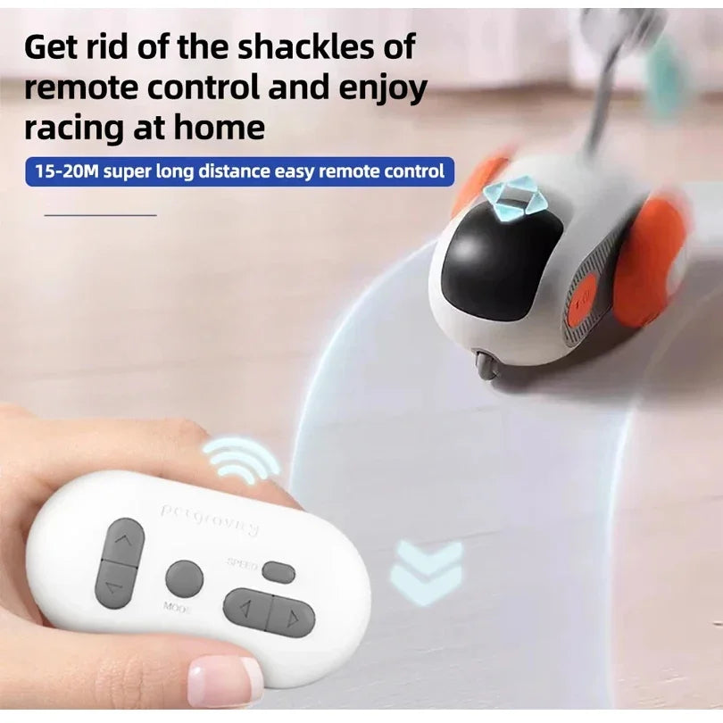Interactive Cat Toy