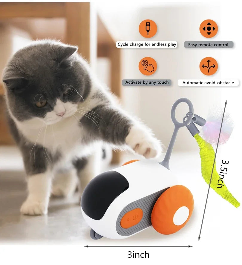 Interactive Cat Toy