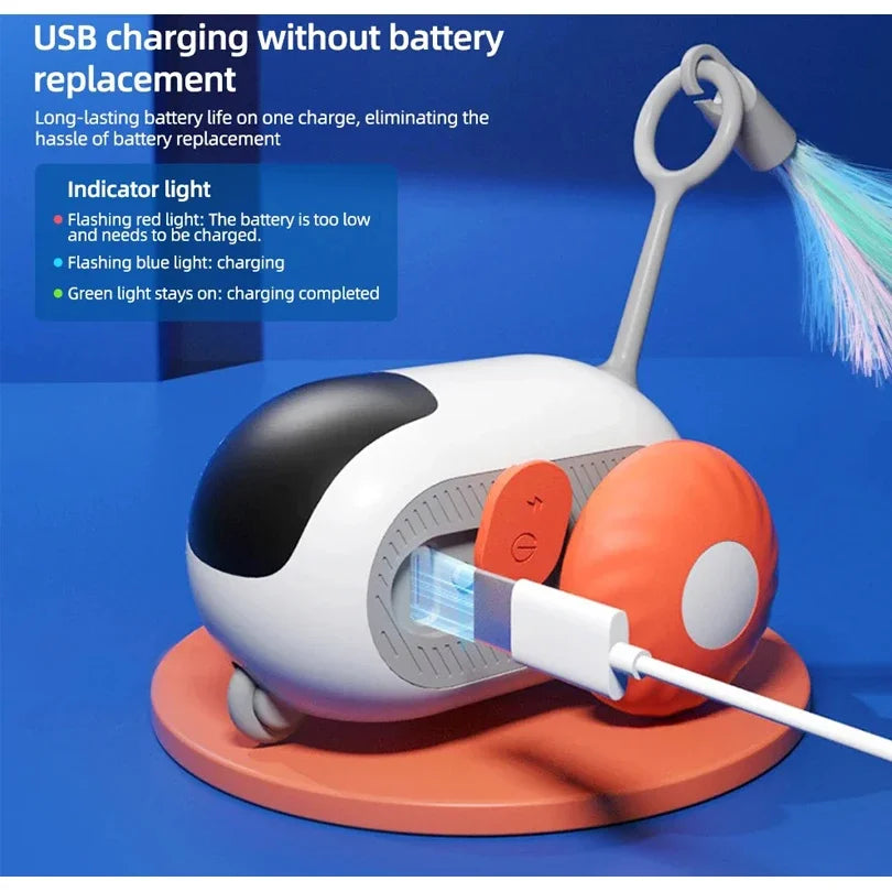 Interactive Cat Toy