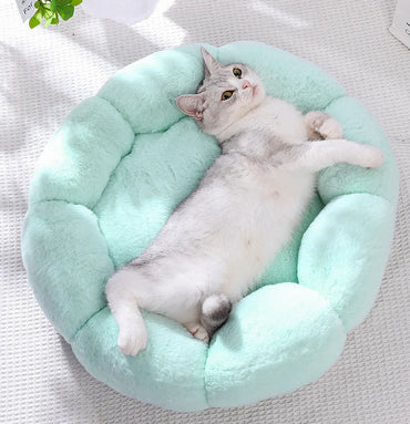 Comfortable Sleep Pet Bed