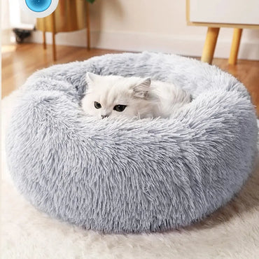 Cat Bed