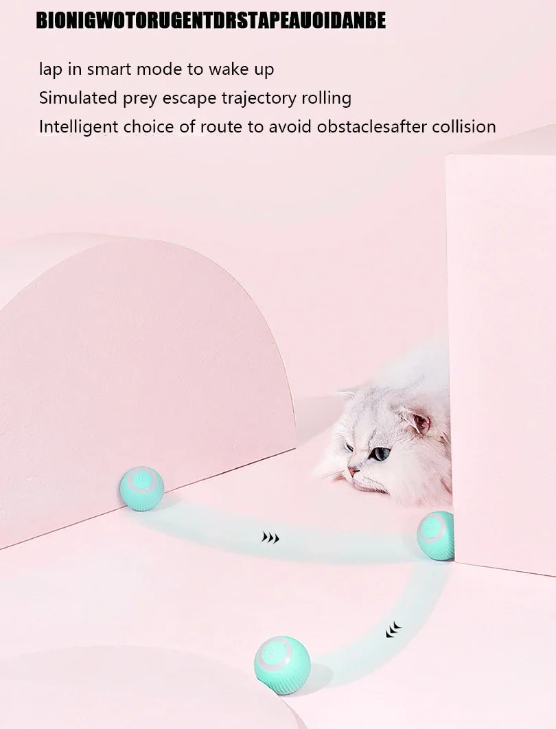 Interactive Cat Toy