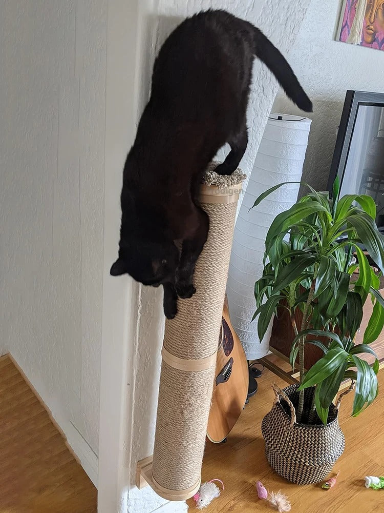 Kratzbaum für die Wand